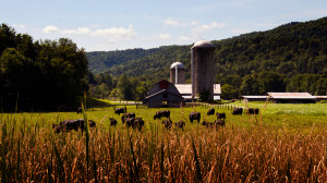 Montpelier Vermont Farm