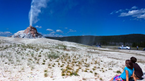 White Dome Geyser in Yellowstone