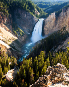 Lower Falls of Grand Canyon of Yellowstone National Park