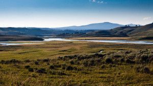 Hayden Valley in Yellowstone National Park